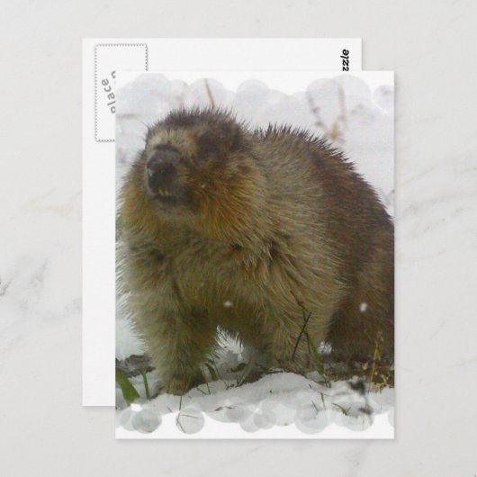 Klassiek Briefkaart (Voorkant / Achterkant)