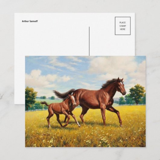 Klassiek Briefkaart voor schilderen (Voorkant / Achterkant)