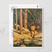 Klassiek Briefkaart voor schilderen (Voorkant / Achterkant)