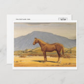 Klassiek Briefkaart voor schilderen (Voorkant / Achterkant)