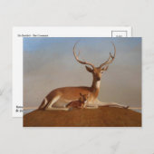 Klassiek Briefkaart voor schilderen (Voorkant / Achterkant)