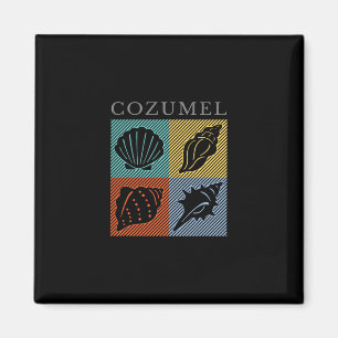Klassiek Cozumel Mexico Kleurrijke Strandvakantie Magneet