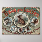 Klassiek de ballade van de verloren hare poster (Voorkant)