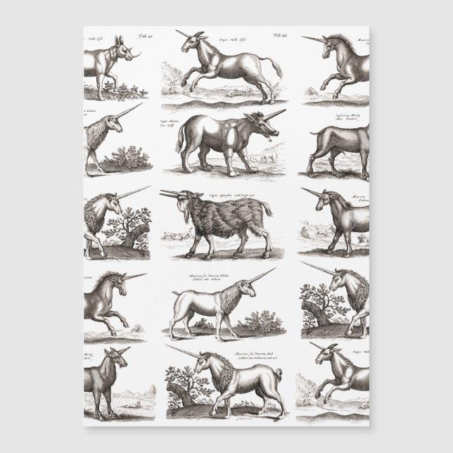 Klassiek Eenhoorn Antiek Mythisch Magisch Wezen (Voorkant)