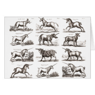 Klassiek Eenhoorn Antiek Mythisch Magisch Wezen