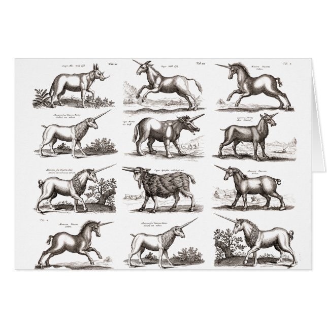 Klassiek Eenhoorn Antiek Mythisch Magisch Wezen (Voorkant Horizontaal)