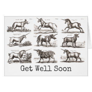 Klassiek Eenhoorn Antiek Mythisch Magisch Wezen