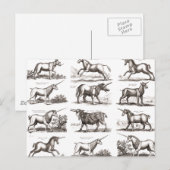 Klassiek Eenhoorn Antiek Mythisch Magisch Wezen Briefkaart (Voorkant / Achterkant)