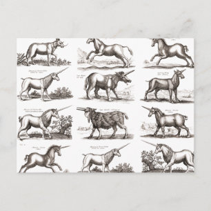 Klassiek Eenhoorn Antiek Mythisch Magisch Wezen Briefkaart
