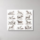 Klassiek Eenhoorn Antiek Mythisch Magisch Wezen Canvas Afdruk (Voorkant)