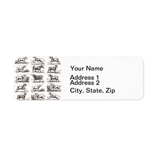 Klassiek Eenhoorn Antiek Mythisch Magisch Wezen Etiket (Voorkant)