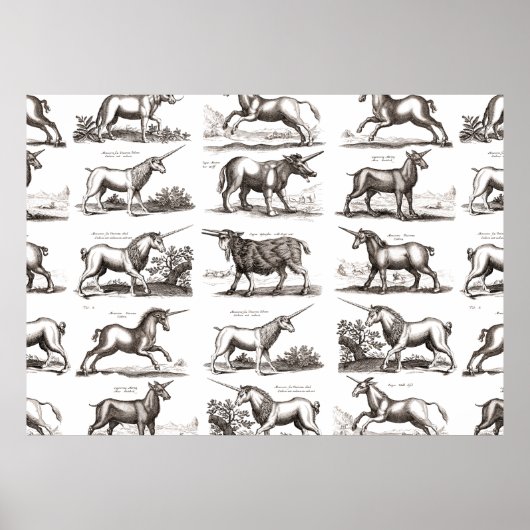 Klassiek Eenhoorn Antiek Mythisch Magisch Wezen Poster (Voorkant)