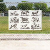 Klassiek Eenhoorn Antiek Mythisch Magisch Wezen Spandoek (Insitu)