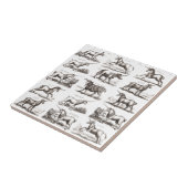 Klassiek Eenhoorn Antiek Mythisch Magisch Wezen Tegeltje (Zijkant)