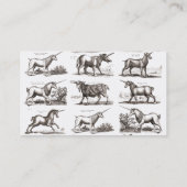 Klassiek Eenhoorn Antiek Mythisch Magisch Wezen Visitekaartje (Achterkant)