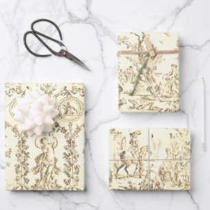Klassiek Elegant Vintage Beige Frans Land Toile Inpakpapier Vel