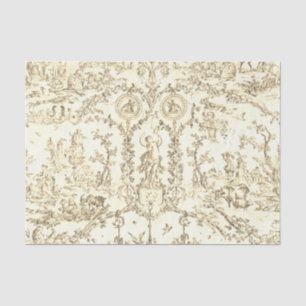 Klassiek Elegant Vintage Beige Frans Land Toile Tissuepapier
