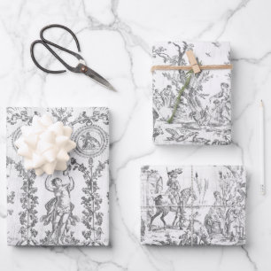 Klassiek Elegeant Vintage Grijs Frans Land Toile Inpakpapier Vel