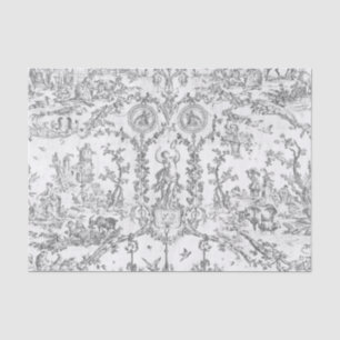 Klassiek Elegeant Vintage Grijs Frans Land Toile Tissuepapier