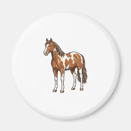 Klassiek gegraveerd pinto paard vector ontwerp_1 magneet (Voorkant)