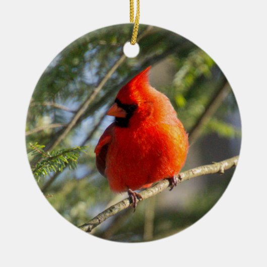 Klassiek Kardinaal Portret Keramisch Ornament (Voorkant)