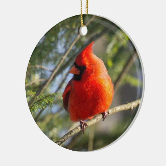 Klassiek Kardinaal Portret Keramisch Ornament (Links)