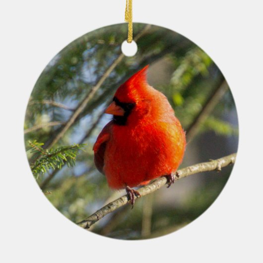 Klassiek Kardinaal Portret Keramisch Ornament (Achterkant)