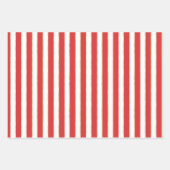 Klassiek kerst poinsettia inpakpapier vel (Voorkant 2)