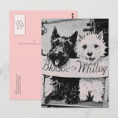 * Klassiek  koekje Roze Briefkaart * (Voorkant / Achterkant)