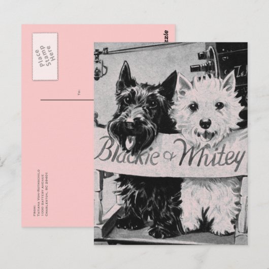 * Klassiek  koekje Roze Briefkaart * (Voorkant / Achterkant)