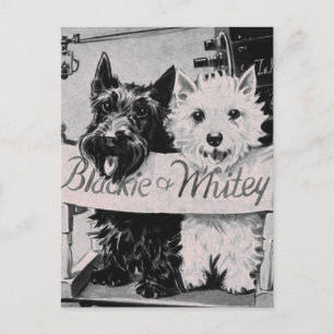 * Klassiek  koekje Roze Briefkaart *