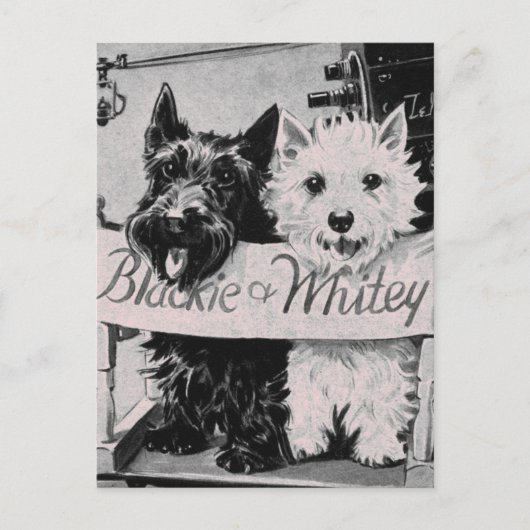 * Klassiek  koekje Roze Briefkaart * (Voorkant)