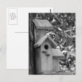 Klassiek land Briefkaart (Voorkant / Achterkant)