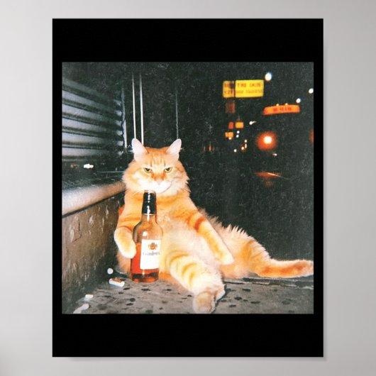 Klassiek meme van kat dronken op nachtrustig straa poster (Voorkant)