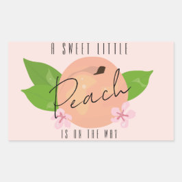 Klassiek minimum perzik Baby shower Rechthoekige Sticker