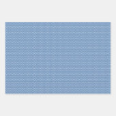 Klassiek Nederlands Delfts Blauw Bloemen Kunstpatr Inpakpapier Vel (Voorkant 3)