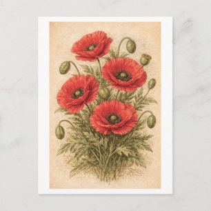 Klassiek ogende klaprozen botanische illustratie briefkaart