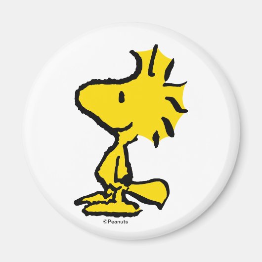 Klassiek ontwerp van Woodstock Magneet (Voorkant)