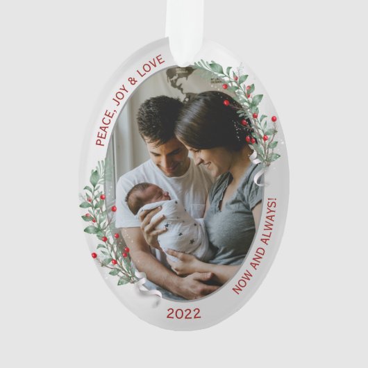 Klassiek pasgeboren eerste kerstPlant Silver Lijst Ornament (achterkant)