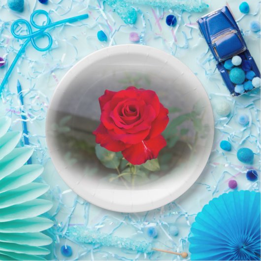 Klassiek rood rozenpapier Bord (Feest)