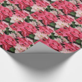 Klassiek roze en rood poinsettia ompakpapier cadeaupapier (Hoek)