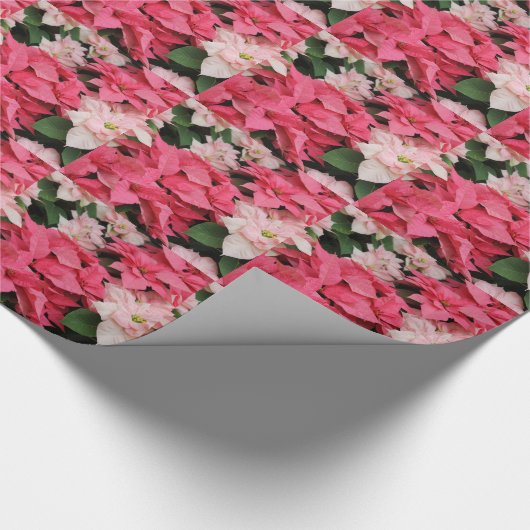 Klassiek roze en rood poinsettia ompakpapier cadeaupapier (Hoek)