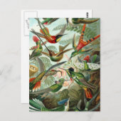 klassiek schilderij van vogel- en wildvogelsoorten briefkaart (Voorkant / Achterkant)