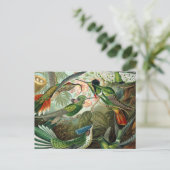 klassiek schilderij van vogel- en wildvogelsoorten briefkaart (Staand voorkant)