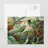 klassiek schilderij van vogel- en wildvogelsoorten briefkaart (Voorkant / Achterkant)