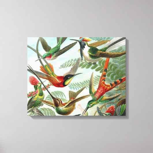 klassiek schilderij van vogel- en wildvogelsoorten canvas afdruk (Voorkant)