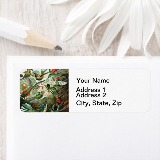 klassiek schilderij van vogel- en wildvogelsoorten etiket (Insitu)