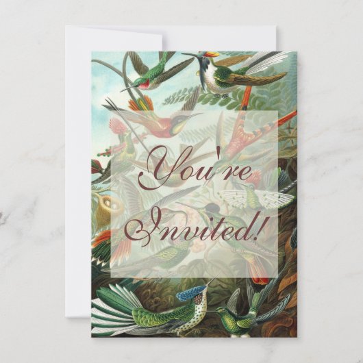 klassiek schilderij van vogel- en wildvogelsoorten kaart (Voorkant)