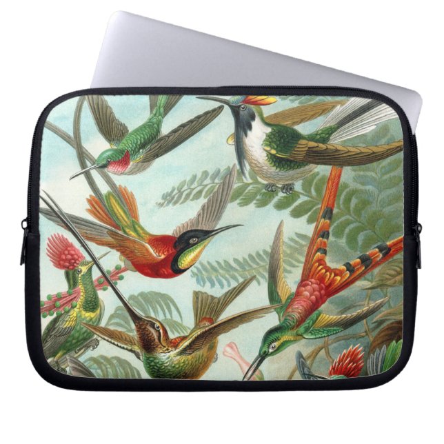 klassiek schilderij van vogel- en wildvogelsoorten laptop sleeve (Voorkant)