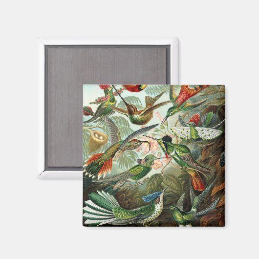 klassiek schilderij van vogel- en wildvogelsoorten magneet (Voorkant / Achterkant)